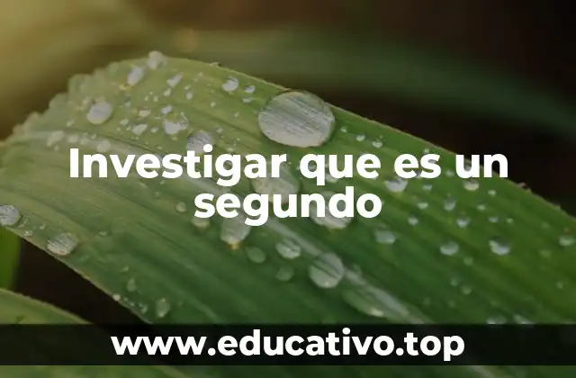 Investigar que es un segundo