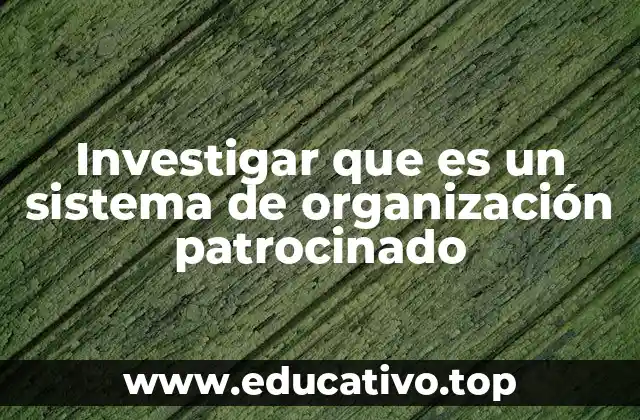 Investigar que es un sistema de organización patrocinado