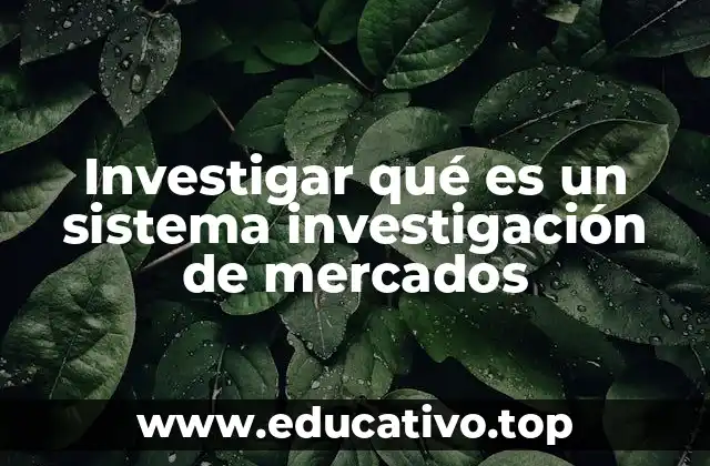 Investigar qué es un sistema investigación de mercados