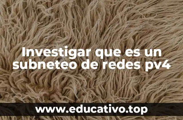 Investigar que es un subneteo de redes pv4