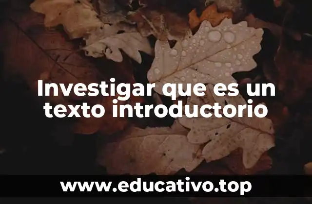 Investigar que es un texto introductorio