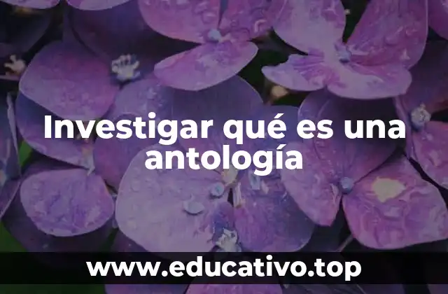 Investigar qué es una antología