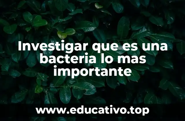 El papel de las bacterias en la naturaleza y la salud humana