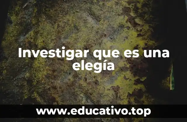 Investigar que es una elegía