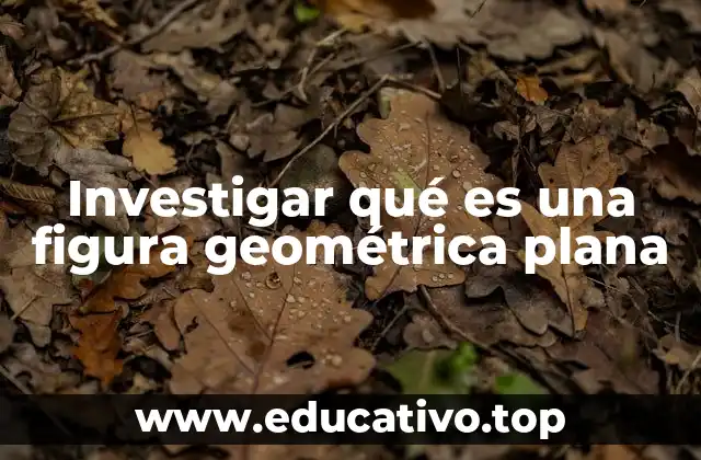 Investigar qué es una figura geométrica plana