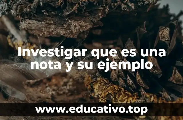 Investigar que es una nota y su ejemplo
