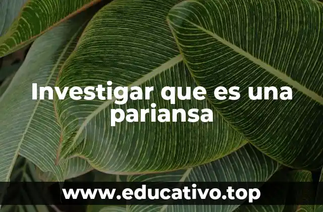 Investigar que es una pariansa