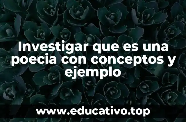 Investigar que es una poecia con conceptos y ejemplo