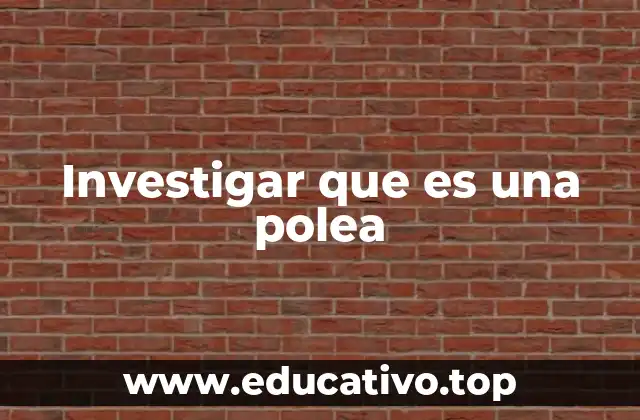 Investigar que es una polea