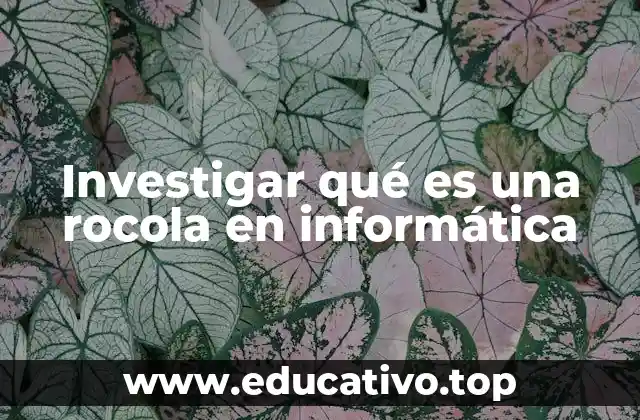 Investigar qué es una rocola en informática