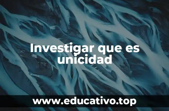 Investigar que es unicidad