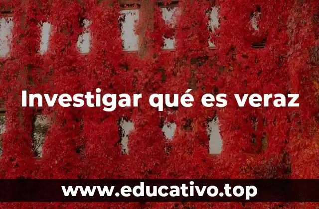 Investigar qué es veraz