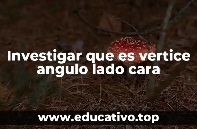 Investigar que es vertice angulo lado cara