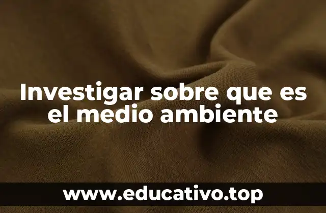 El entorno natural y su importancia en la vida moderna