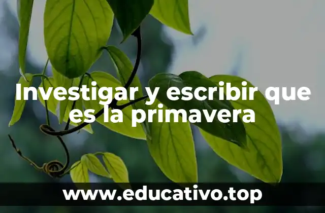 La importancia de comprender la primavera desde múltiples perspectivas