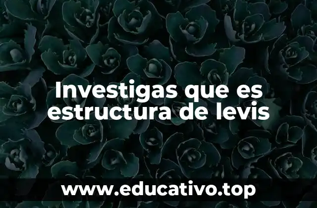 Investigas que es estructura de levis