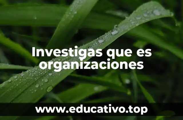 Investigas que es organizaciones
