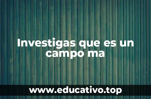 Investigas que es un campo ma