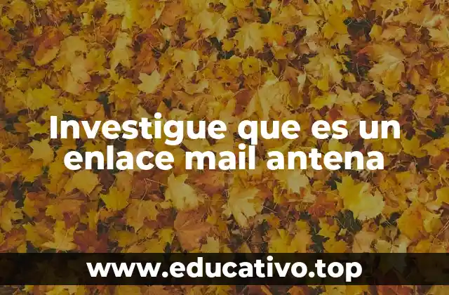 Investigue que es un enlace mail antena