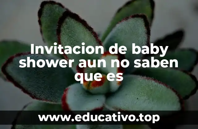 Invitacion de baby shower aun no saben que es