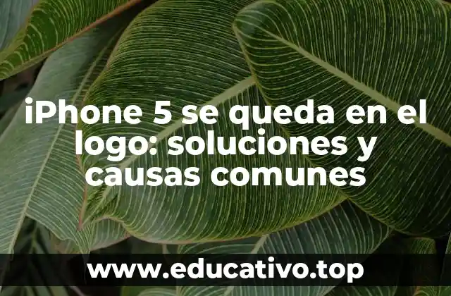 iPhone 5 se queda en el logo: soluciones y causas comunes
