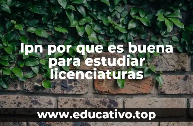 Ipn por que es buena para estudiar licenciaturas