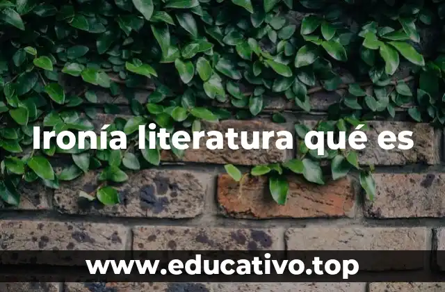 Ironía literatura qué es