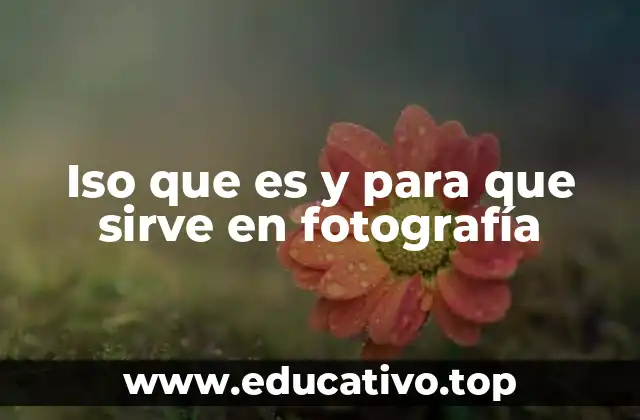Iso que es y para que sirve en fotografía