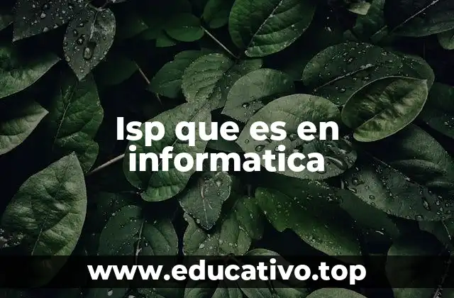 El papel de los ISPs en la conectividad global