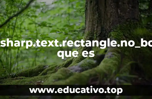 Itextsharp.text.rectangle.no_border que es