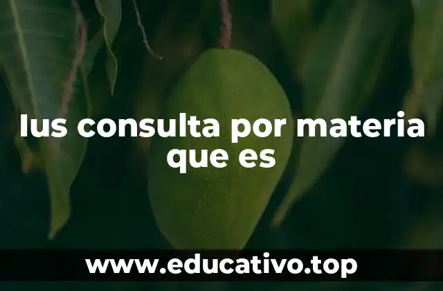 Ius consulta por materia que es