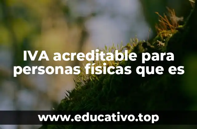 IVA acreditable para personas físicas que es