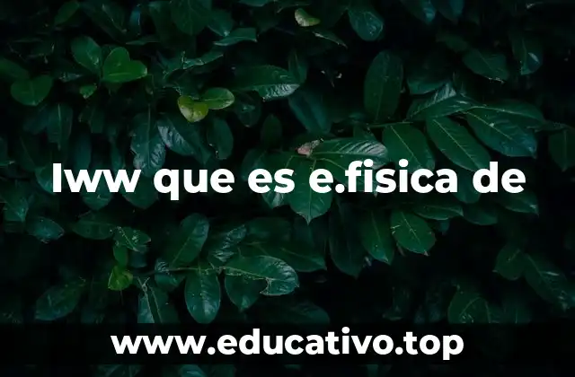 Iww que es e.fisica de