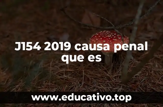 J154 2019 causa penal que es