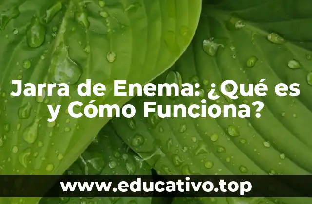 Jarra de Enema: ¿Qué es y Cómo Funciona?