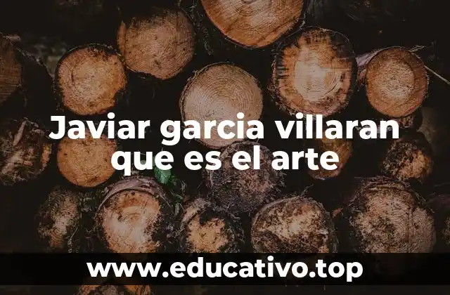 Javiar garcia villaran que es el arte
