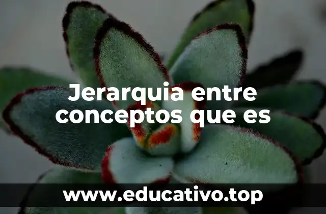 Jerarquia entre conceptos que es
