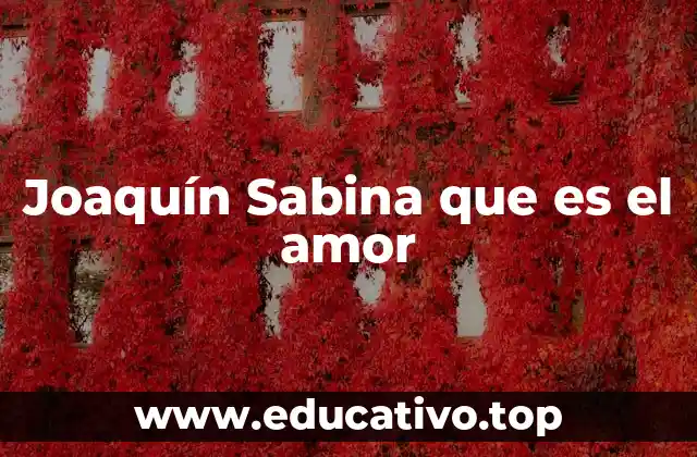 Joaquín Sabina que es el amor