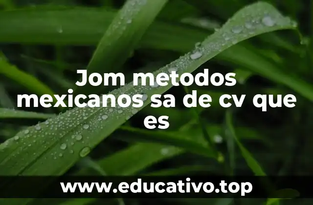Jom metodos mexicanos sa de cv que es