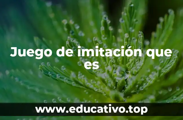Juego de imitación que es