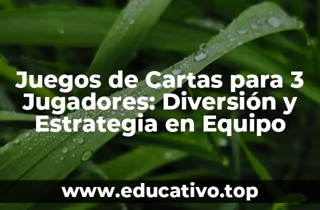 Juegos de Cartas para 3 Jugadores: Diversión y Estrategia en Equipo