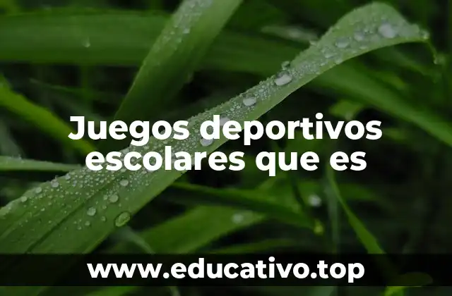 Juegos deportivos escolares que es