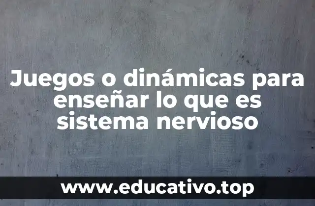 Juegos o dinámicas para enseñar lo que es sistema nervioso