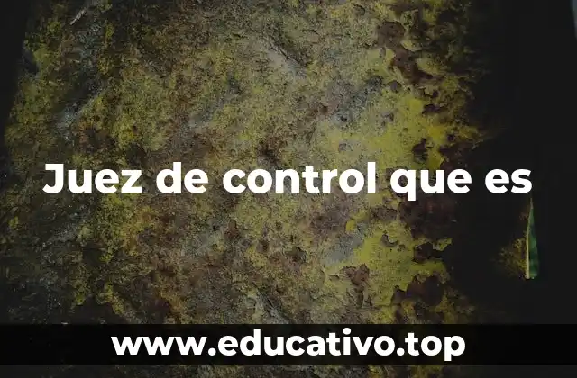 Juez de control que es