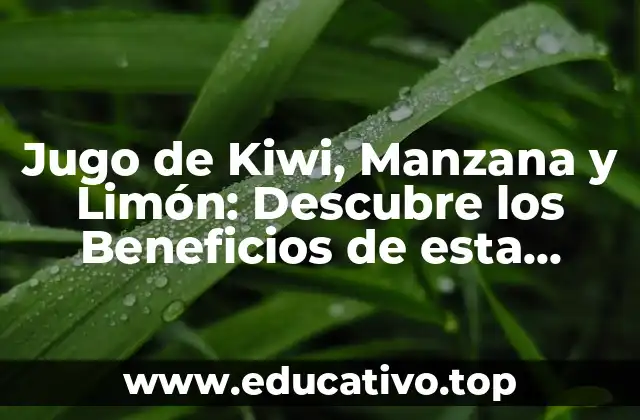 Jugo de Kiwi, Manzana y Limón: Descubre los Beneficios de esta Combinaición Única