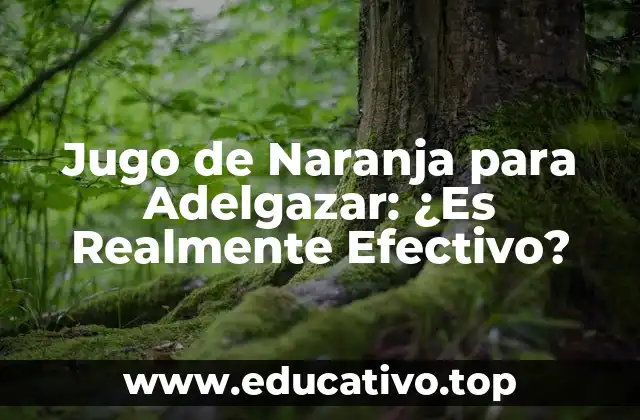 Jugo de Naranja para Adelgazar: ¿Es Realmente Efectivo?