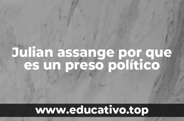 Julian assange por que es un preso político