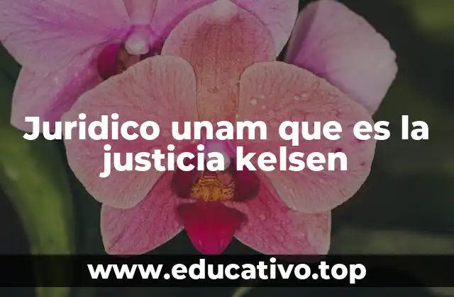 Juridico unam que es la justicia kelsen