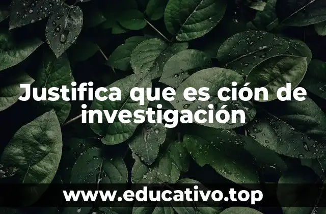 Justifica que es ción de investigación