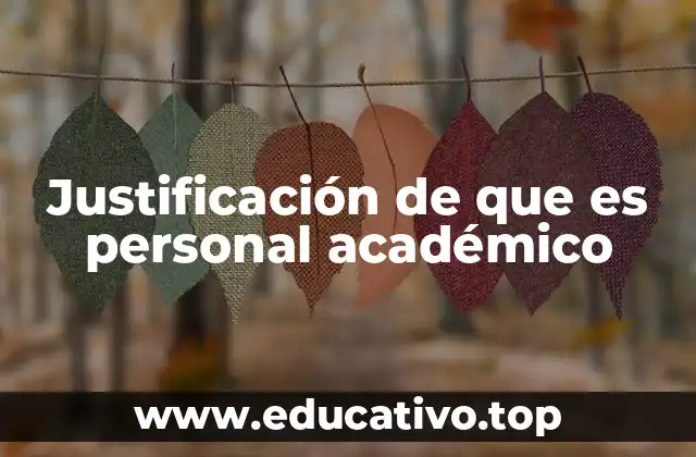 Justificación de que es personal académico